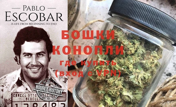 ГАЛЛЮЦИНОГЕННЫЕ ГРИБЫ Остров