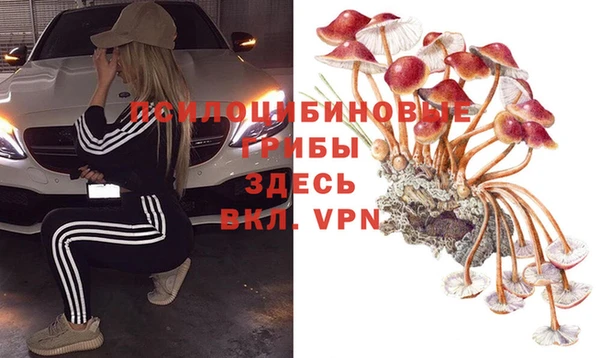 ГАЛЛЮЦИНОГЕННЫЕ ГРИБЫ Остров