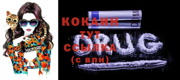 ГАЛЛЮЦИНОГЕННЫЕ ГРИБЫ Остров